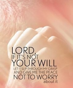 Today’s Community Scripture – 8/22/2024